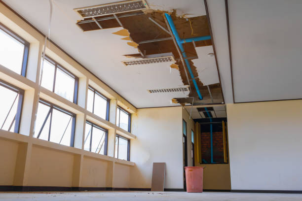 Best Water damage restoration near me  in Catlin, IL