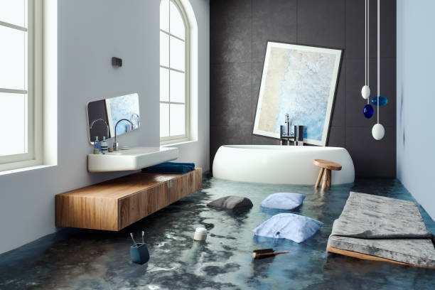 Best Water damage cleanup near me  in Catlin, IL