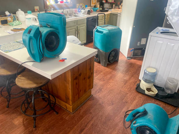 Best Commercial water damage restoration  in Catlin, IL
