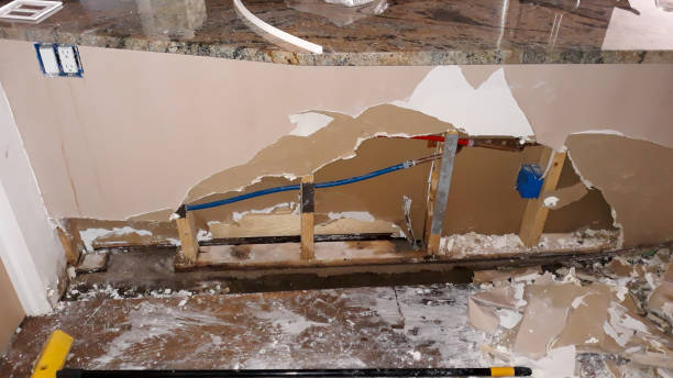 Best Local water damage restoration  in Catlin, IL