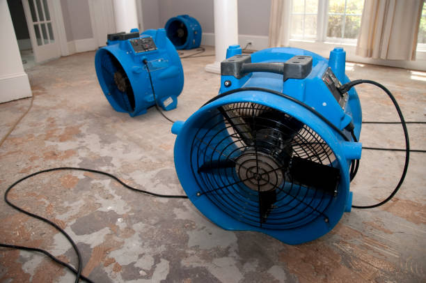 Best Professional water damage repair  in Catlin, IL