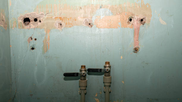 Best Flood damage cleanup  in Catlin, IL