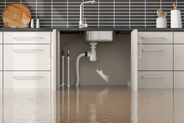 Best Flooded house restoration  in Catlin, IL