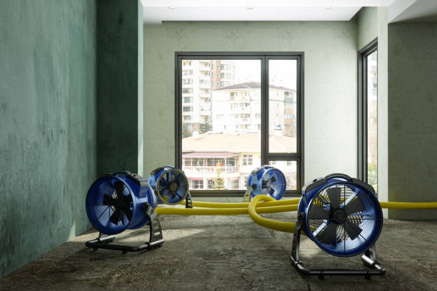Best Sewage cleanup and water damage restoration  in Catlin, IL