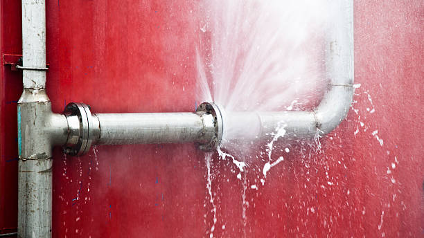 Best 24/7 water damage repair  in Catlin, IL