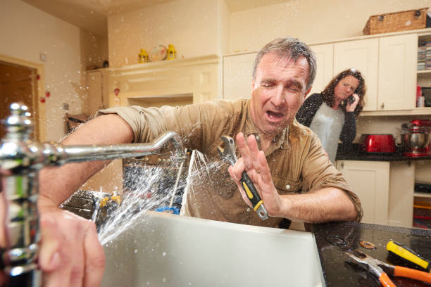 Best Flood restoration services  in Catlin, IL